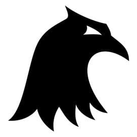 eagle icon solid